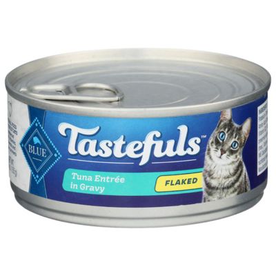 Canned cat food coupons top